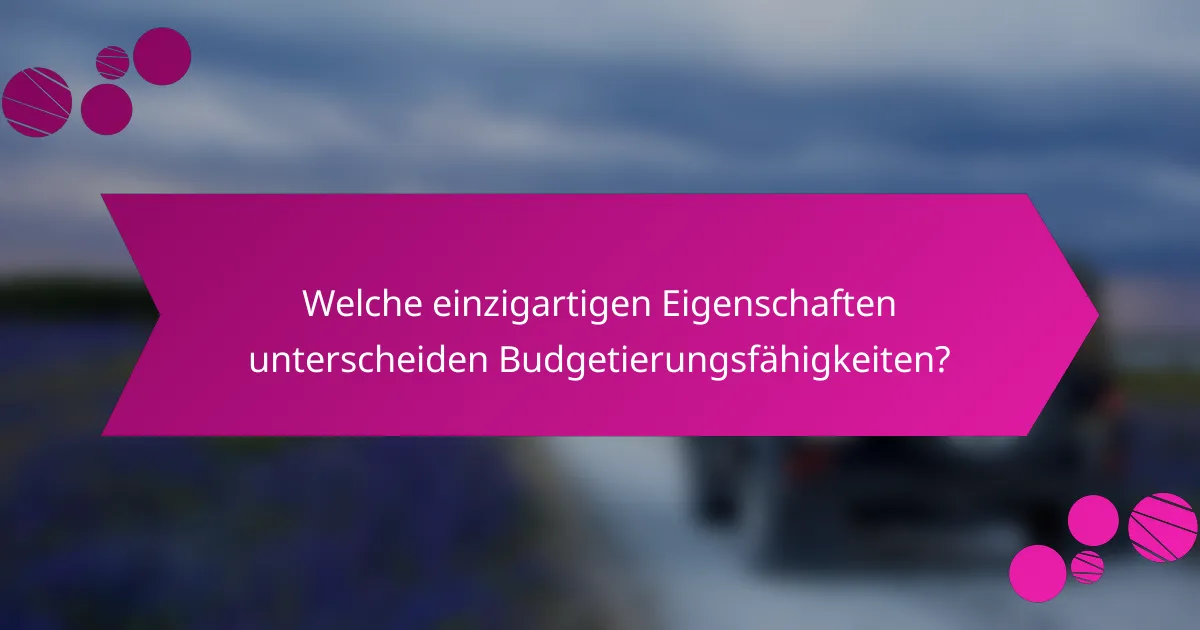 Welche einzigartigen Eigenschaften unterscheiden Budgetierungsfähigkeiten?