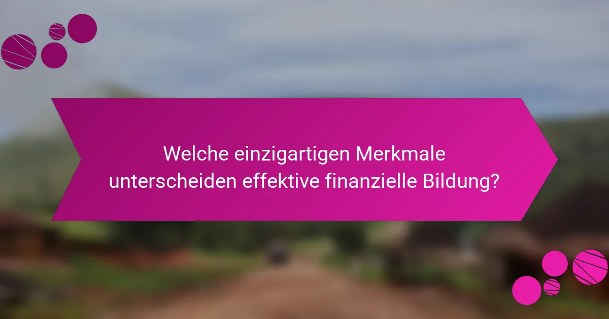 Welche einzigartigen Merkmale unterscheiden effektive finanzielle Bildung?